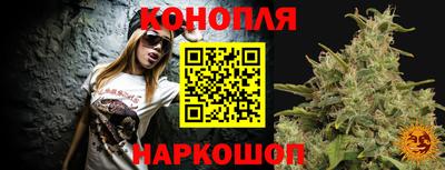 стафф Кинель