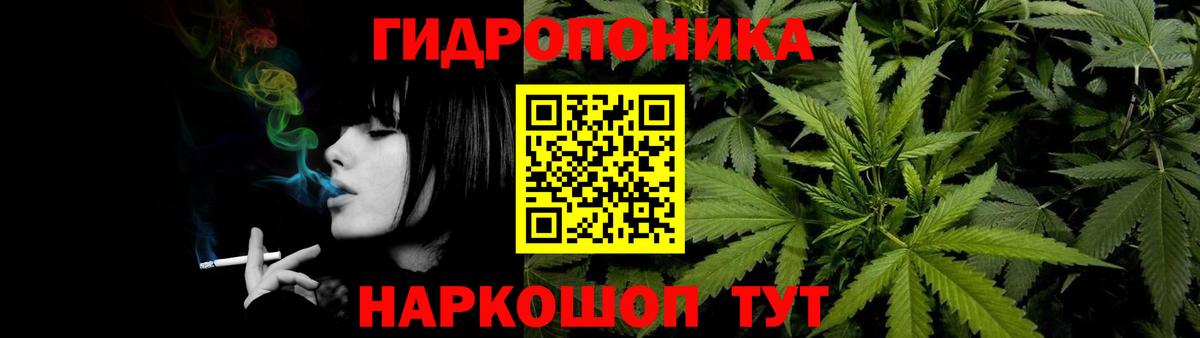 Марихуана план Кольчугино