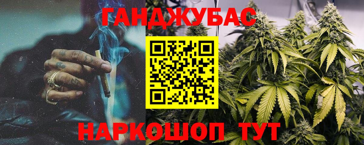 Кольчугино  Каннабис конопля  Шишки марихуана Bruce Banner  Вход с VPN  Конопля семена 